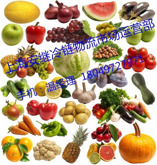上海食品貨運(yùn)物流市場(chǎng)價(jià)上海食品貨運(yùn)物流市場(chǎng)價(jià)格表