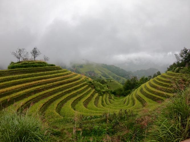 禪城到桂林貨運(yùn)電話號碼禪城到桂林貨運(yùn)電話號碼多少