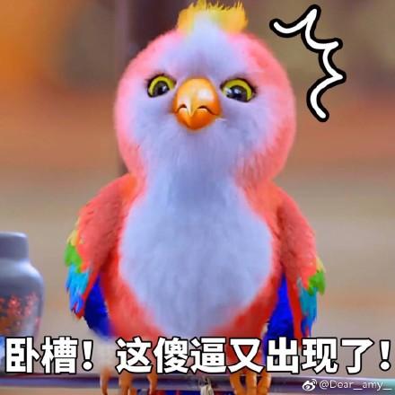 南航貨運鸚鵡南航貨運鸚鵡事件